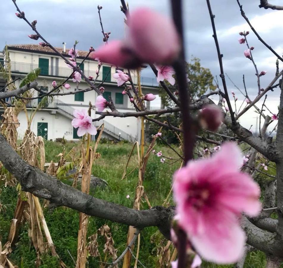 Casa Rosario Lejlighed Riposto Eksteriør billede